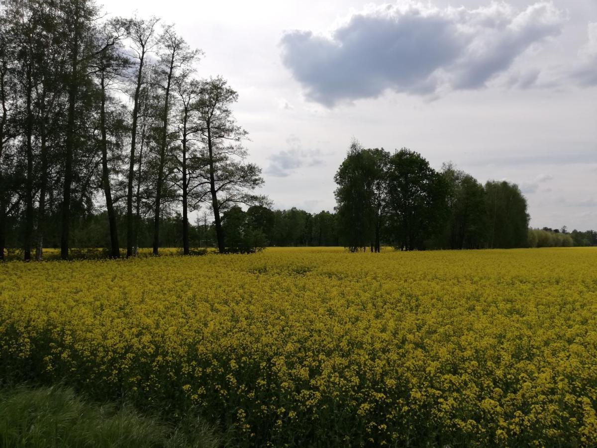 Am Waldrand Spreewald 호텔 부르크 외부 사진