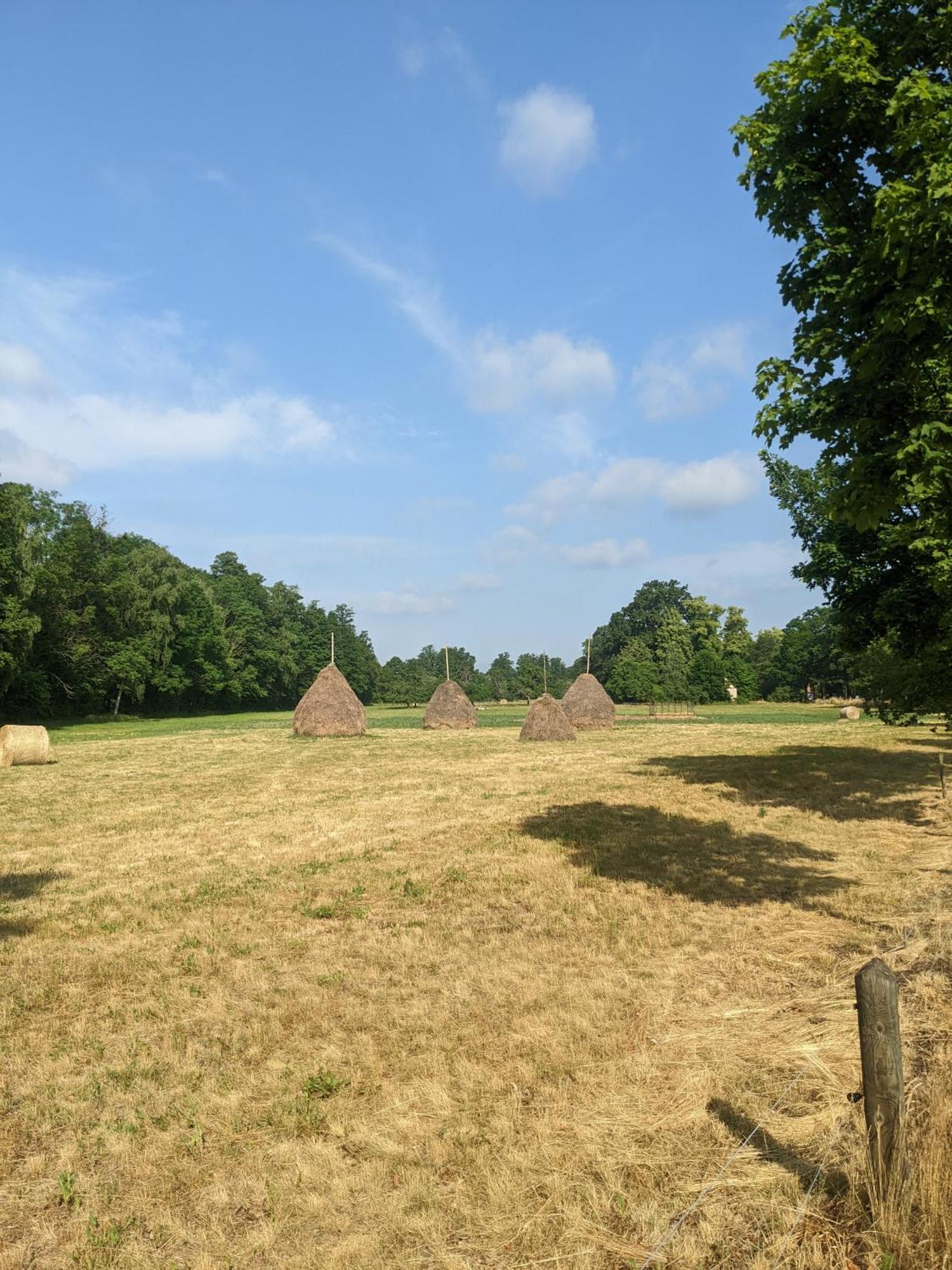 Am Waldrand Spreewald 호텔 부르크 외부 사진